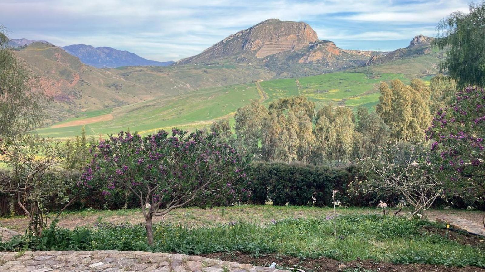 Le Case Di Cardellino - Agrispa Sclafani Bagian luar foto